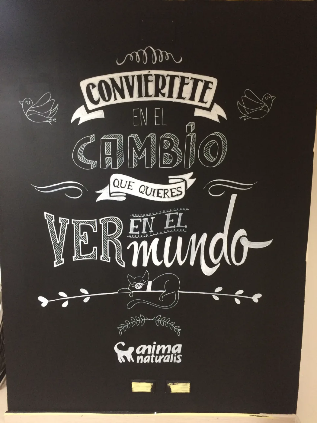 Mural de lettering a tiza: «Conviértete en el cambio que quieres ver en el mundo».
